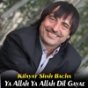 Ya Allah Ya Allah Dil Gayae - Single