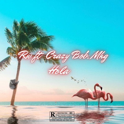 Hola (feat. Crazy Bob & MHG) - Single