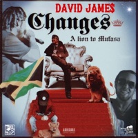 Changes: A Lion to Mufasa - David Jame$