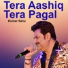 Tera Aashiq Tera Pagal - Single