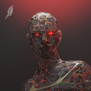 Fruition - Single