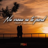 Nu vreau sa te pierd (feat. Gabriela L) - Single - FRDM