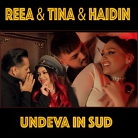 Undeva in sud (feat. Haidin) - Single - Reea & Tina