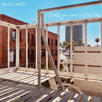 I'll Tell You What It Feels Like - Single