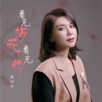 看见梅花看见你 - Single - 樊桐舟
