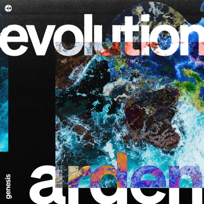Evolution - Single