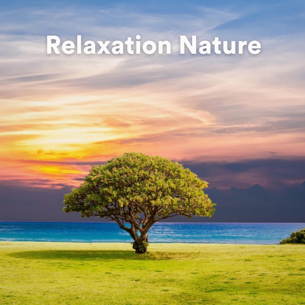 Relaxation Nature