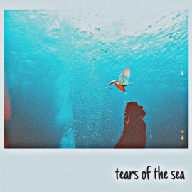 Tears of the Sea Dyelo think