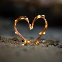 Love You Bad - Single - Shockwa