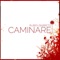 Caminare - Ruben Barreto lyrics