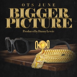 Bigger Picture OTS June
