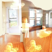 For the Birds - whereamiohmygod