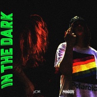 IN the DARK (feat. makeangelscry) - Single - XOMBOY