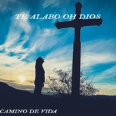 Te Dejo Ganar artwork