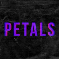Petals - Single - SoMo