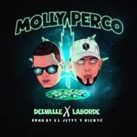 Molly Perco - Single - Delvalle & Laborde