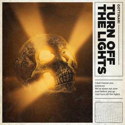 Turn Off the Lights (Remix) - Single