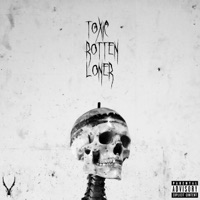 TOXIC ROTTEN LONER (feat. Netuh) - Single - Vice Rocki