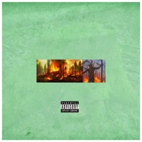 The Lost Tree Tape - Lil Tree Stump