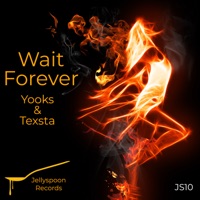 Wait Forever - Single - Yooks & Texsta