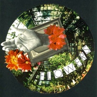 Flowers - Single - Pale Moon