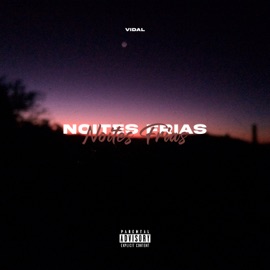 Noites Frias Vidal & gkbeats