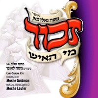 משה גאלדמאן - לא ימוש התורה