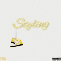 Styling (feat. D'Anthony & Armanti) - Single - YNB JC