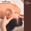 Wellness Spa – 50 Relaxing Piano Music and Soft New Age Nature Music for Spa, Sauna, Massage and Relax