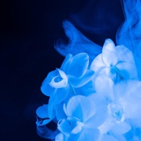 Raum mit Rauch - Single - T1ll