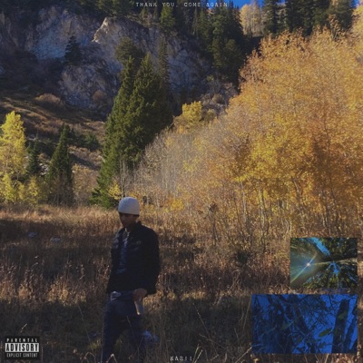 Thank You, Come Again - EP