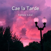 Cae la tarde - Single - Sebas Leal