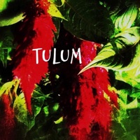Tulum - Single - LottoTheKid