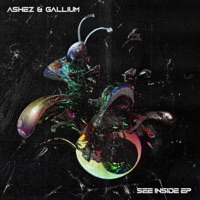 See Inside - Single - Ashez & Gallium