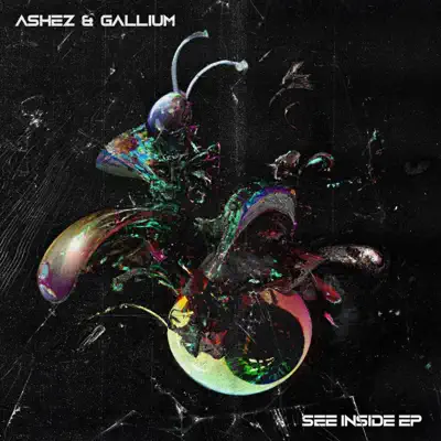 Ascolta 'See Inside - Single' di Ashez & Gallium