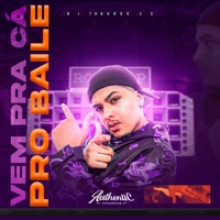 Vem pra Ca pro Baile - Single - DJ Tubarão ZS, MC Pogba, MC DA 12 & DJ Eric da VG