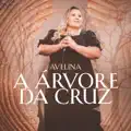 arvore