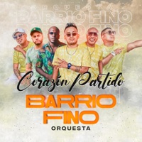 Partido En Dos
