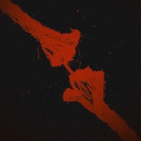 DAYAN - Single - İmpala