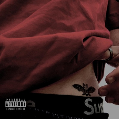 chauve-souris - Single