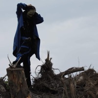 Crucify & cannibalise every factor of trust left in the world.. (feat. Prxz) - Single - VOKILLZ