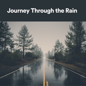 Journey Through the Rain