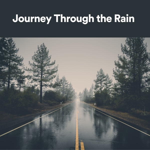 Journey Through the Rain