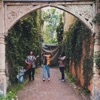 Spring Fling - Single