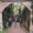 Spring Fling - Todd Wallin Project - Spring Fling (single)