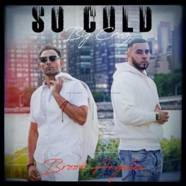 So Cold (feat. BIG CRUZ) Brook Angeles