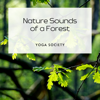 Nature Sounds of a Forest - Meditation Music, Yoga Society & Relaxing Spa Music