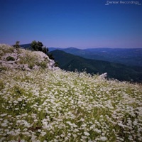 After Sunday (feat. Transviolet, Luna Shadows & Hey Violet) - Single - Evlyyn