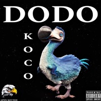 DoDo - Single - Koco