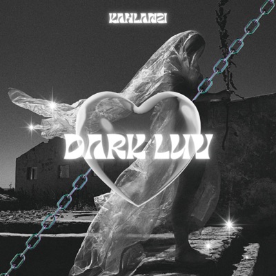 Dark Luv - Single